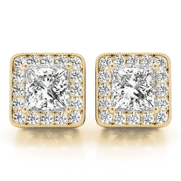 Piccadilly Princess Bezel Halo Studs Earrings in Yellow Gold