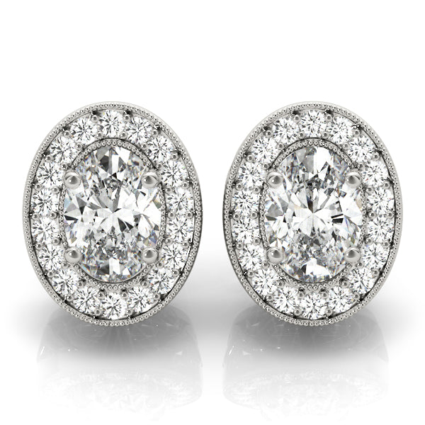Westminster Oval Halo Studs Earrings in Platinum