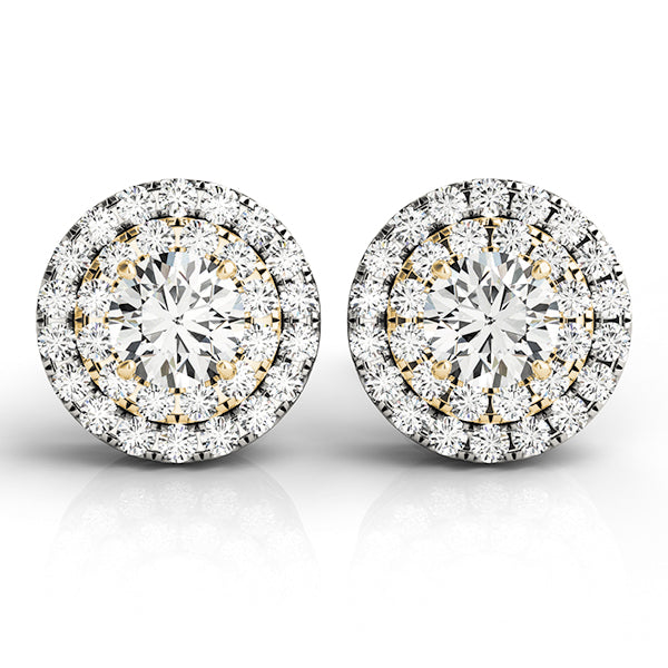 Kensington Round Double Halo Studs Earrings in Yellow Gold